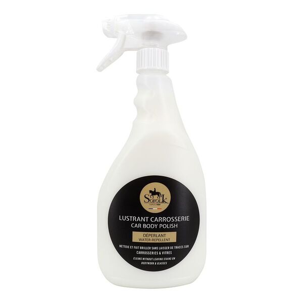CRÈME LUSTRANTE POUR CARROSSERIE - Photo 1
